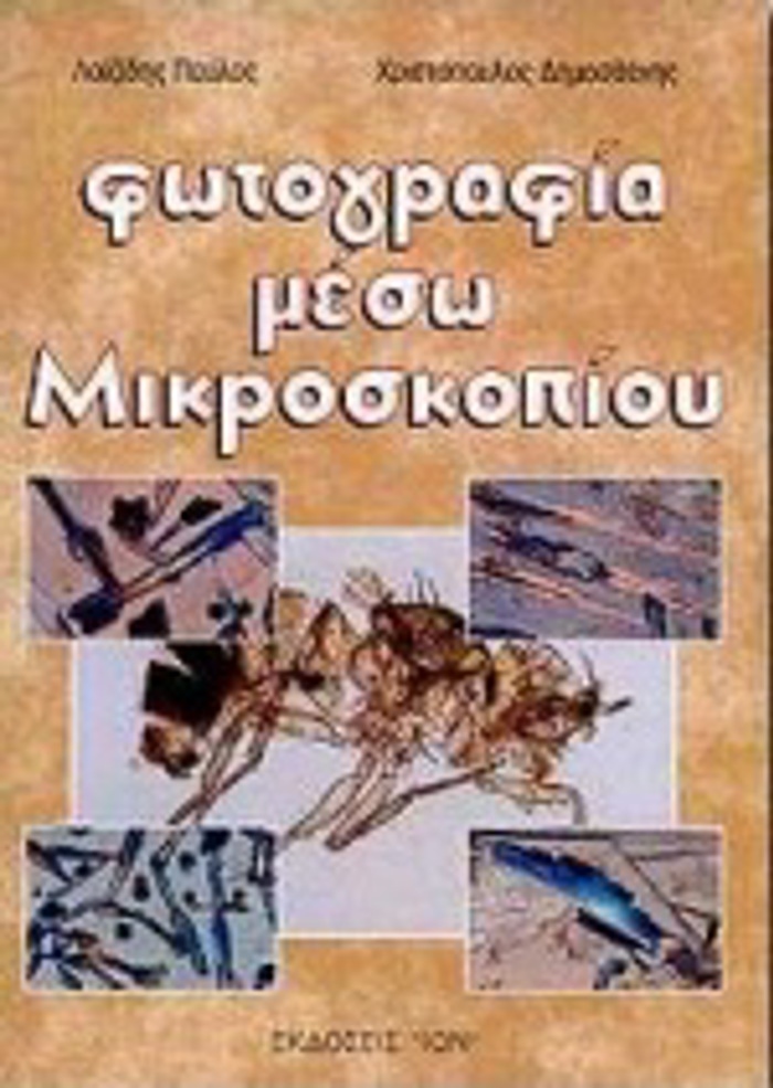 FOTOGAFIA MESO MIKROSKOPIOu
